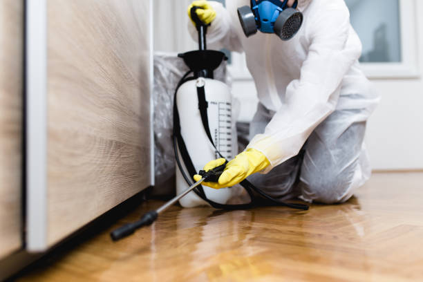 Best Flea Control Services  in Cottage Grove, OR