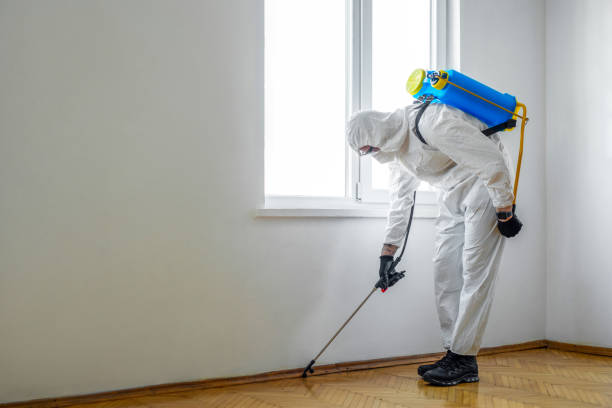 Pest Control for Restaurants in Cottage Grove, OR