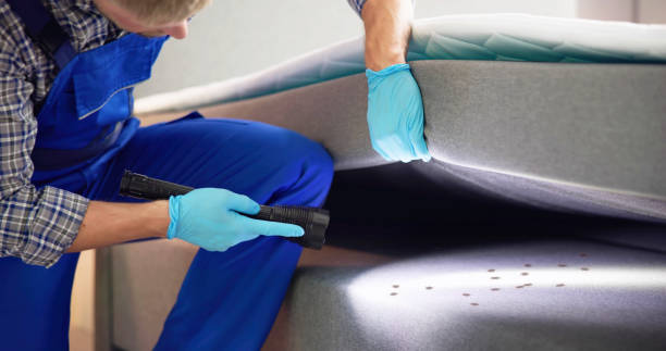 Professional Pest Control in Cottage Grove, OR