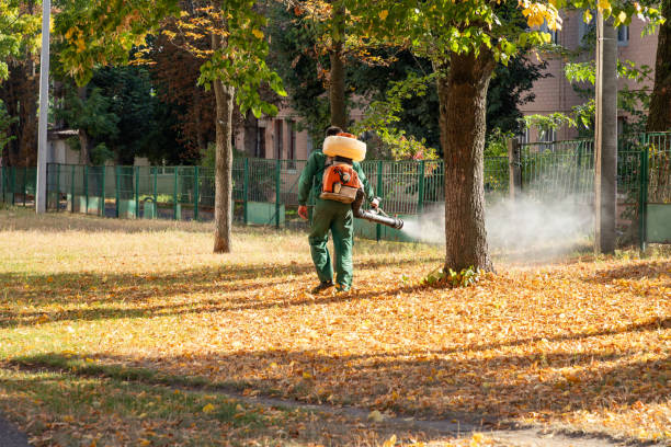 Best Cockroach Control Services  in Cottage Grove, OR