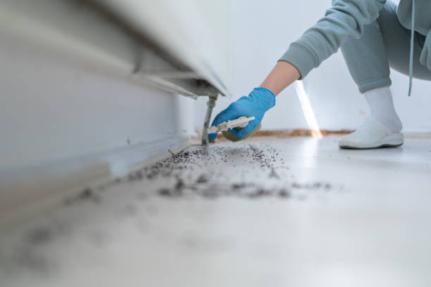 Best Residential Pest Control  in Cottage Grove, OR