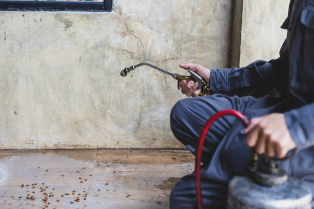 Best Pest Inspection Near Me  in Cottage Grove, OR